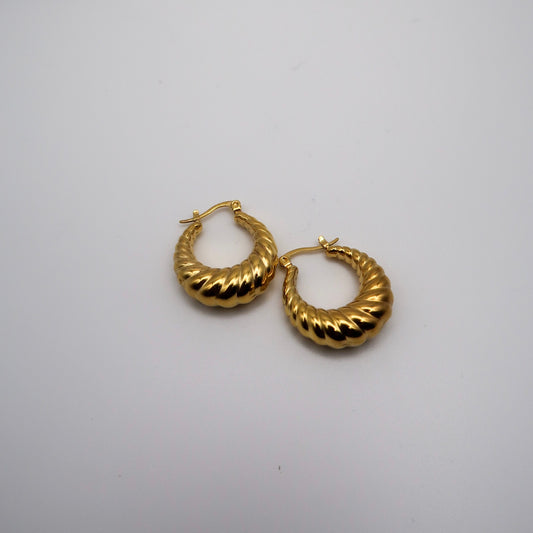 Ciety's Gold Earrings